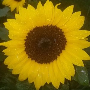 Meet your Posher, Bobbi